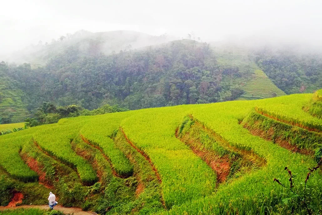 Hoang Su Phi Trekking 3 Day Itinerary from Hanoi